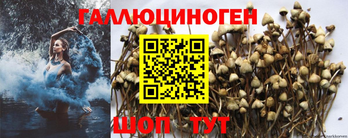 Галлюциногенные грибы мицелий Чусовой